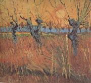 Vincent Van Gogh Willows at Sunset (nn04) oil on canvas